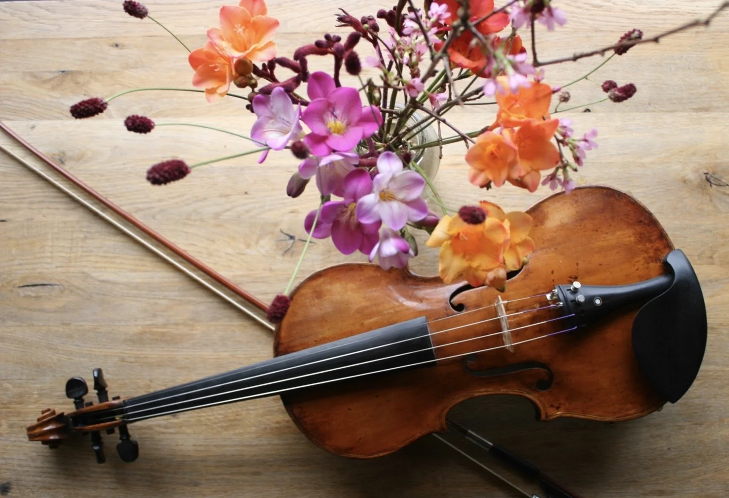 Moi – Chiara Stanese spielt Violine